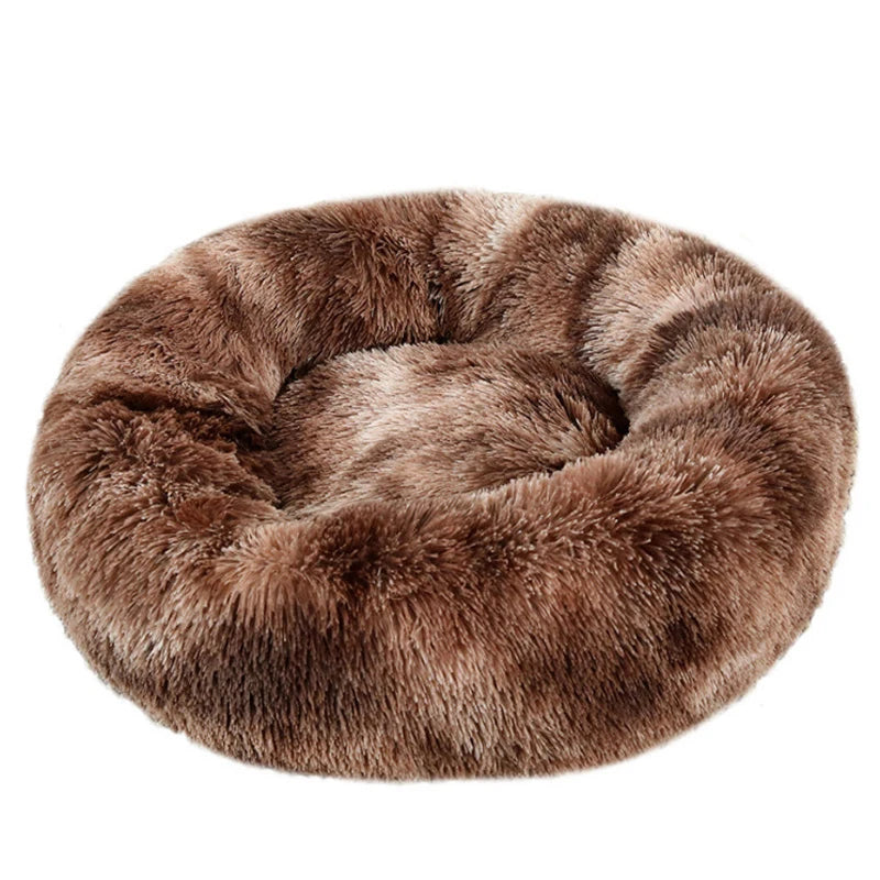 Dog Bed™